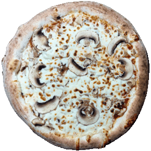Pizza Funghi